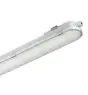Philips Stagna LED CoreLine WT120C G2 61W 8000lm - 840 Bianco Freddo | 150cm - Dali Dimmerabile 